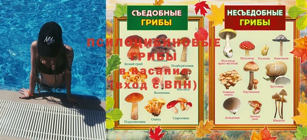 ALPHA-PVP Медногорск