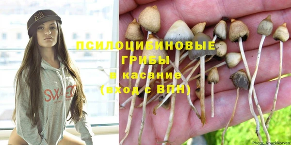 таблы Мегион