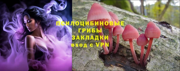 ALPHA-PVP Медногорск