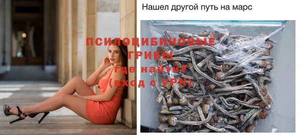 ALPHA-PVP Медногорск