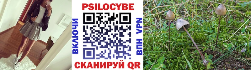 Галлюциногенные грибы Psilocybine cubensis Краснодар