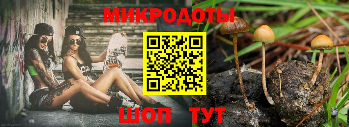 Россия  Псилоцибиновые грибы прущие грибы  Вход с VPN  Галлюциногенные грибы GOLDEN TEACHER 